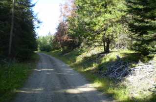 Heading south to Rock Oven 11, watched by a deer, Kettle Valley Railway Naramata Section, 2010-08.
